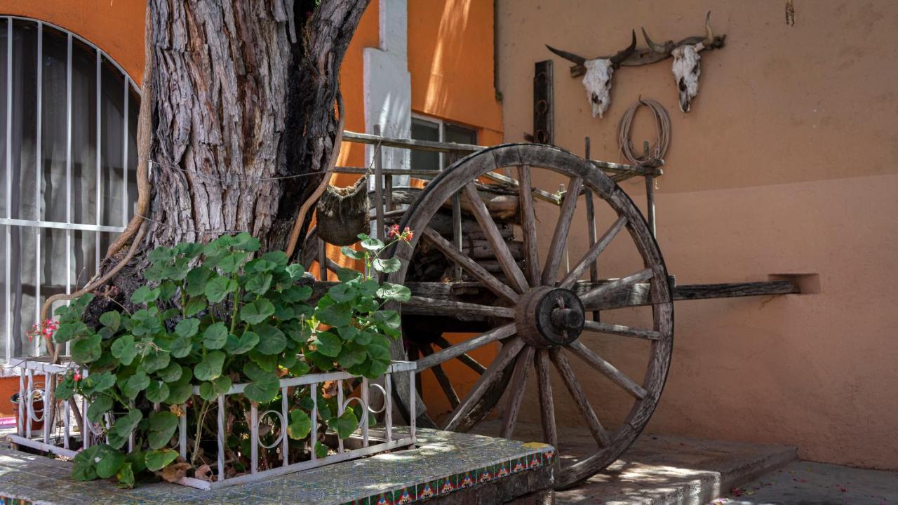 Hotel Posada Bugambilias San Luis Potosí Zewnętrze zdjęcie